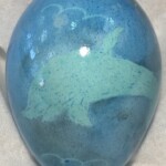 Dolphin 1