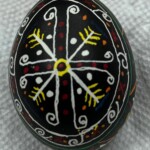egg15a