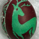 egg6c